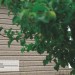 Сайдинг Ю-Пласт TIMBERBLOCK Пихта (Тимберблок) Cахалинская купить в Отрадном