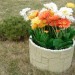 Цветник КАНЬОН купить в Отрадном